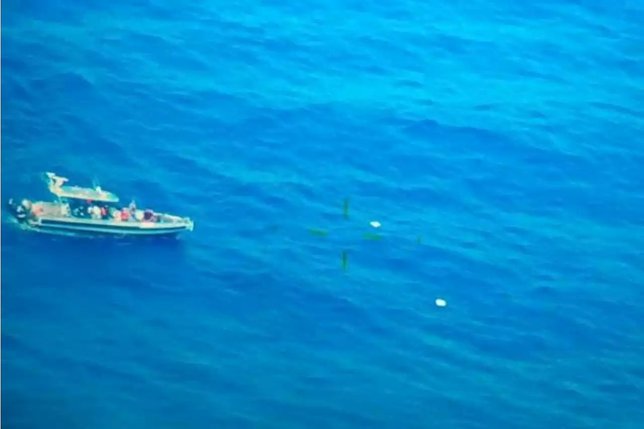 Gigantesca incautación: Armada decomisó 5,5 toneladas de cocaína en el mar Caribe