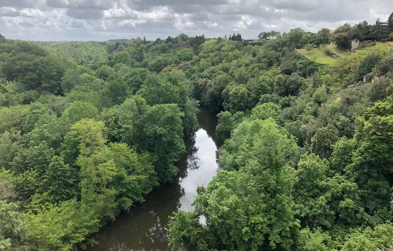 Nouvelle pollution au fongicide dans des rivières de Loire-Atlantique