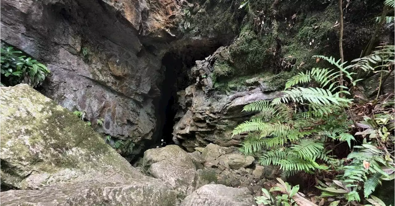 Body found in search for school boy who went missing in New Zealand caves