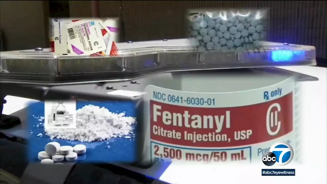 12 federal cases filed against suspected dealers who allegedly sold fentanyl to users who died