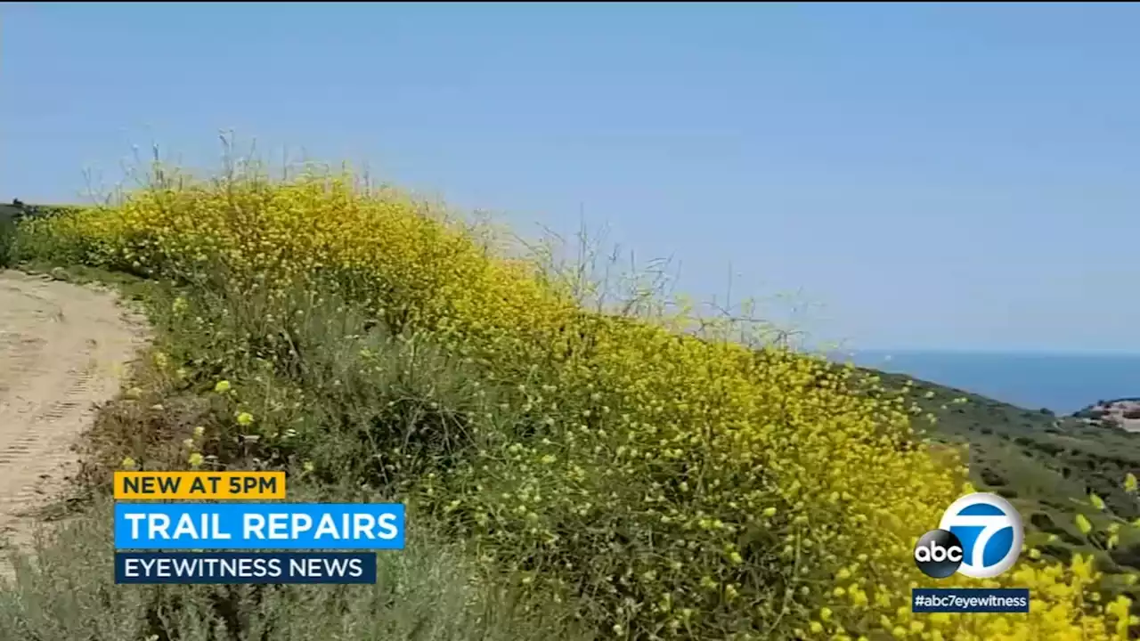 Orange County's Crystal Cove State Park trails to reopen after repairs due to winter storms