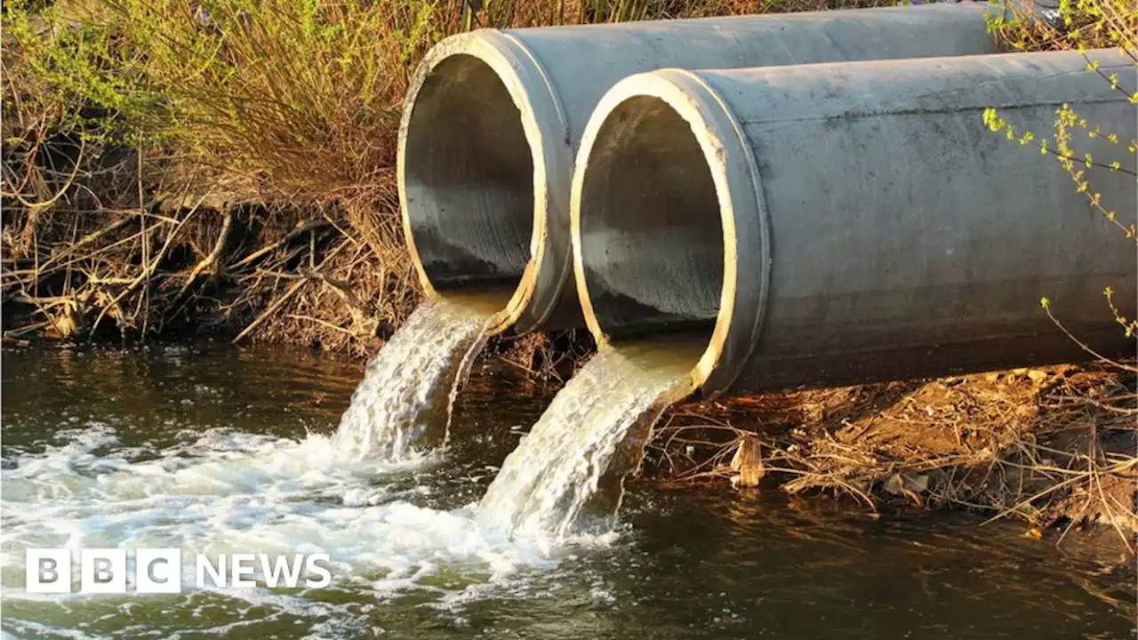 Thames, Yorkshire and South West Water bosses refuse bonuses over sewage spill