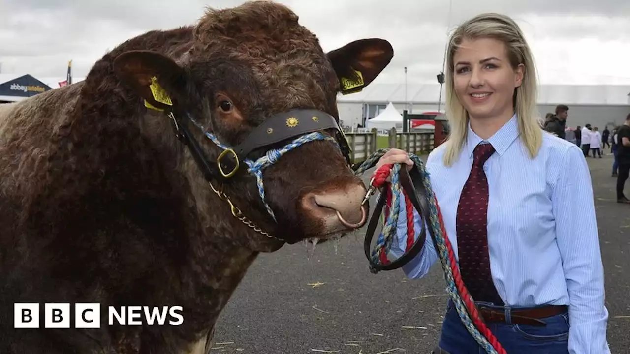 In pictures: Families flock to Balmoral Show