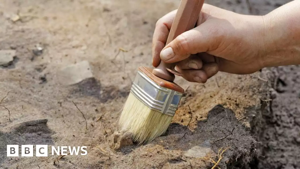 Lincoln archaeological dig expected to unearth 'significant finds'