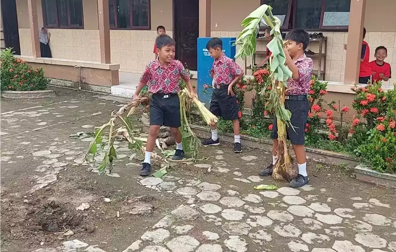 Kesal, Siswa SD di Pati Cabuti Pohon Pisang di Sekolah