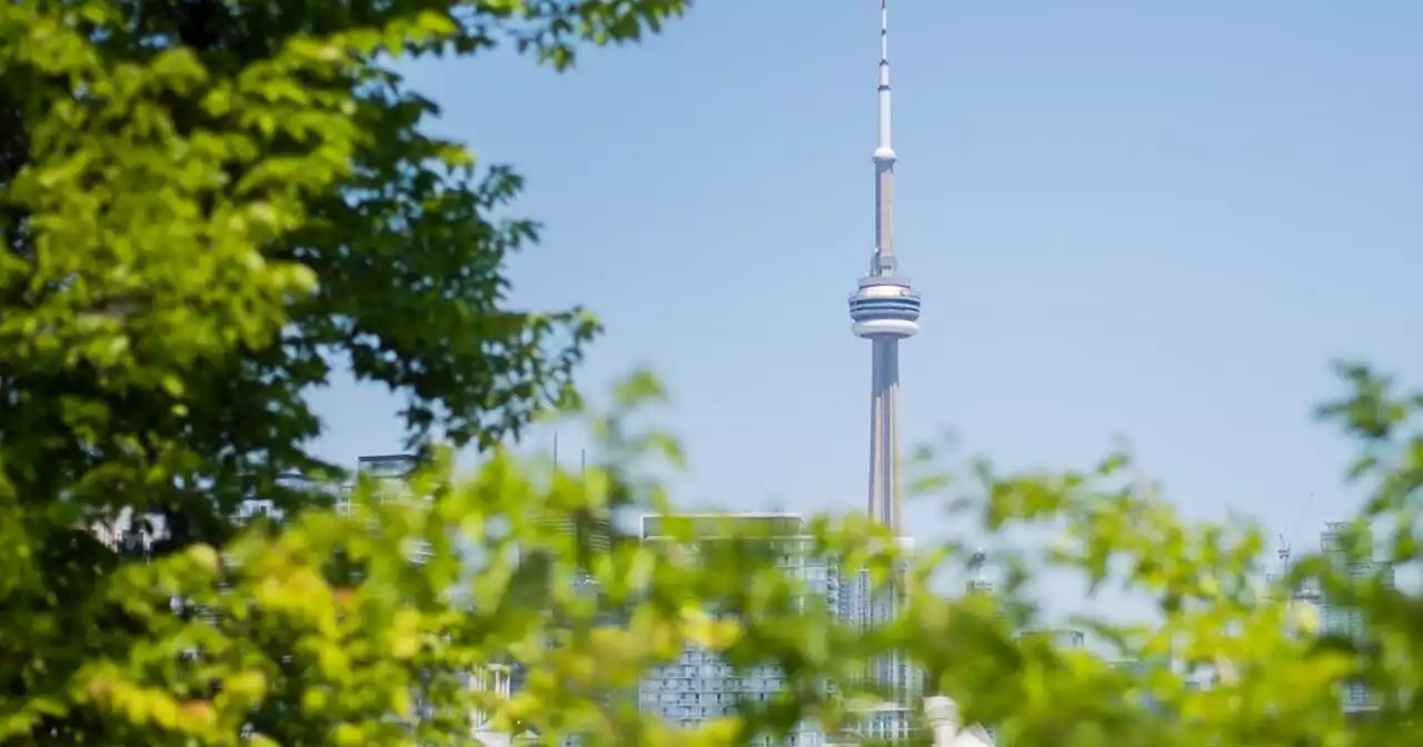 Calgary tourist lists favourite things about Toronto and here's what they said