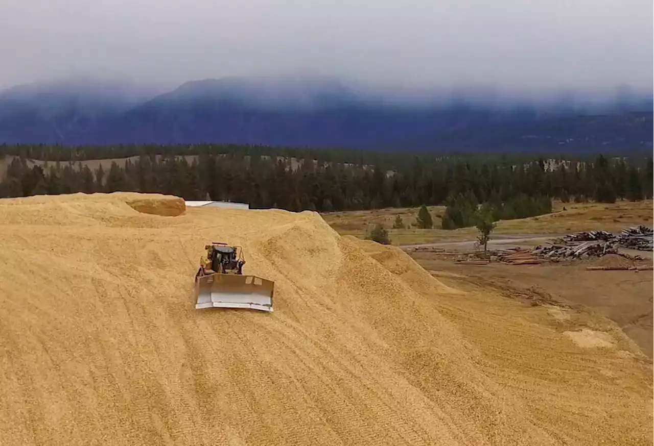 BC NDP warns motion to investigate forestry company 'out of order'