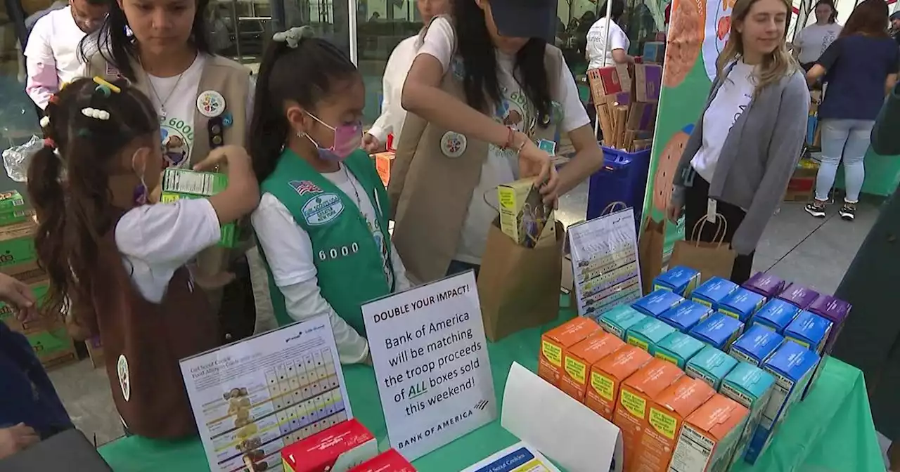 New York City's Girl Scout Troop 6000 making a difference in city's shelter system