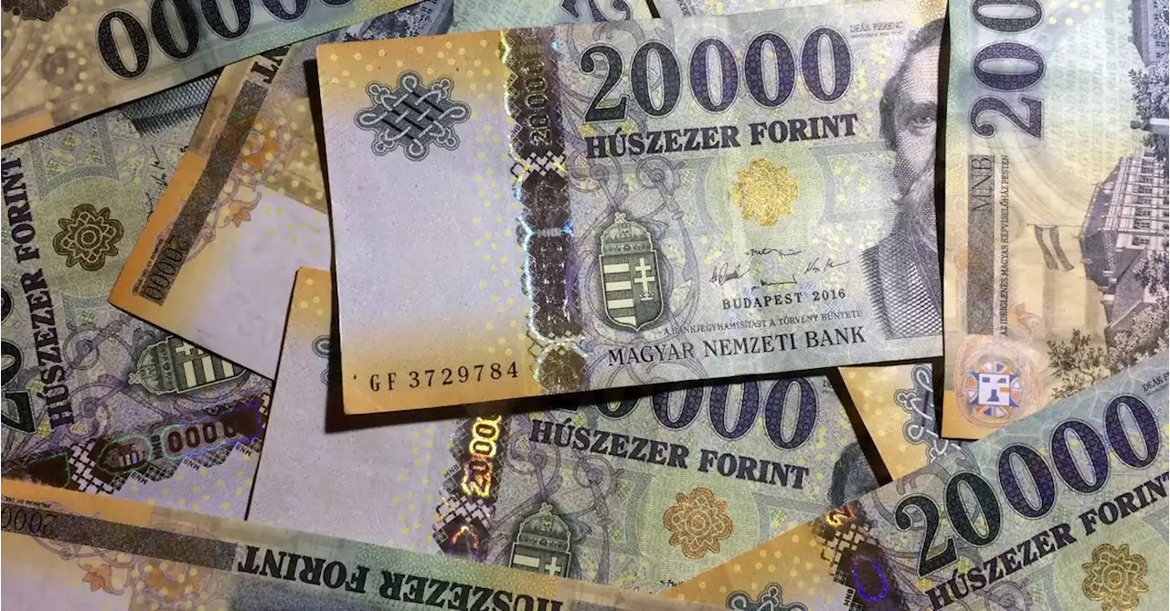 Hungarian Central Bank Sees No Imminent Need for e-Forint