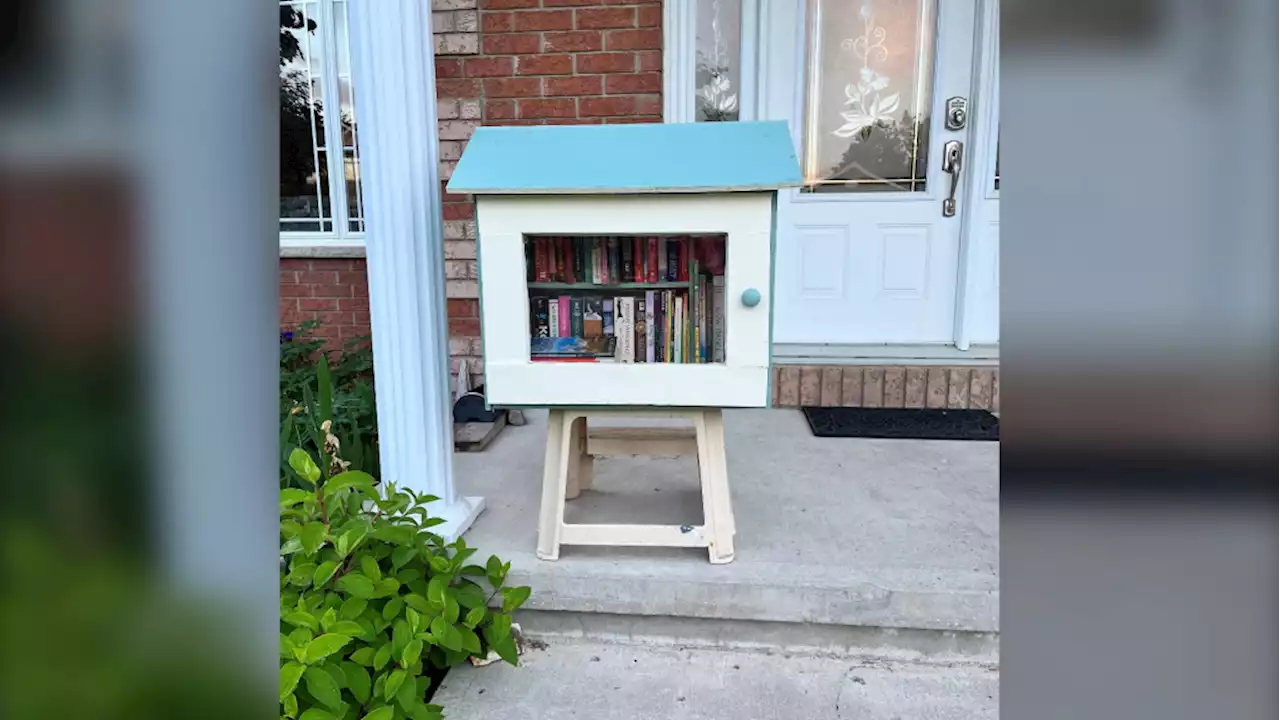 City of Ottawa proposes new rules for little free libraries on residential properties