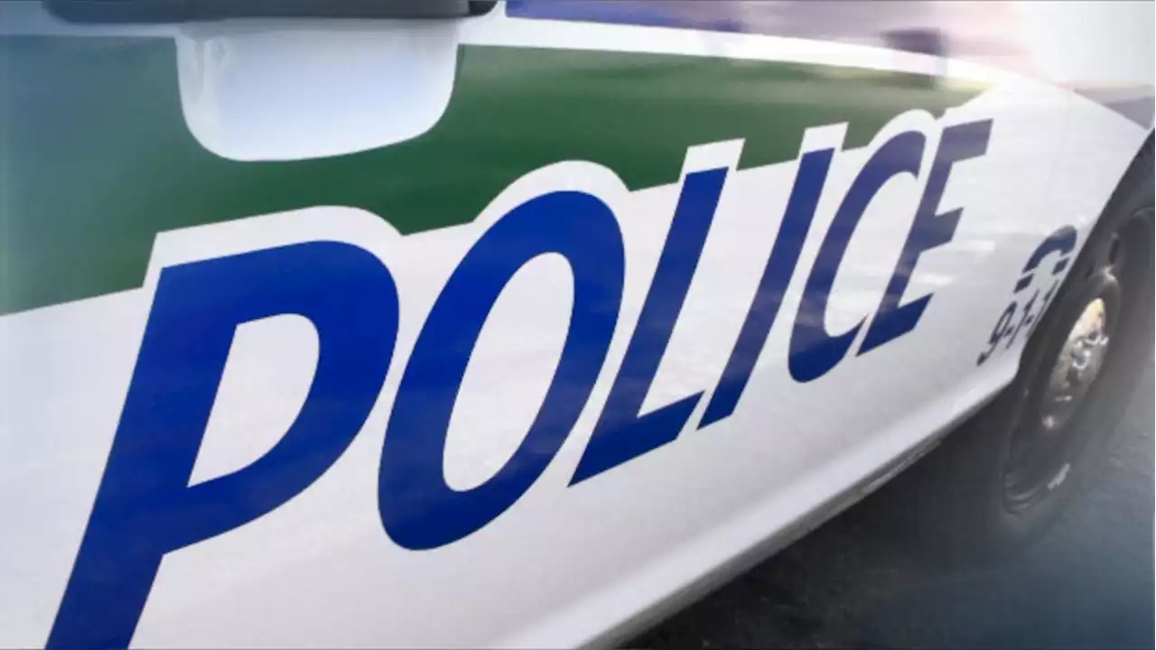 Three teenagers arrested in connection with string of fires in Gatineau, Que.