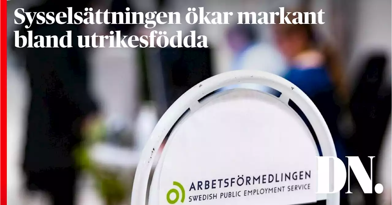 Sysselsättningen ökar markant bland utrikesfödda