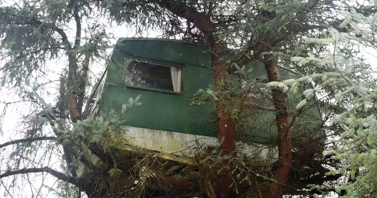 AirBnb guests hail quirky caravan treehouse rented out by Scot for £20 a night