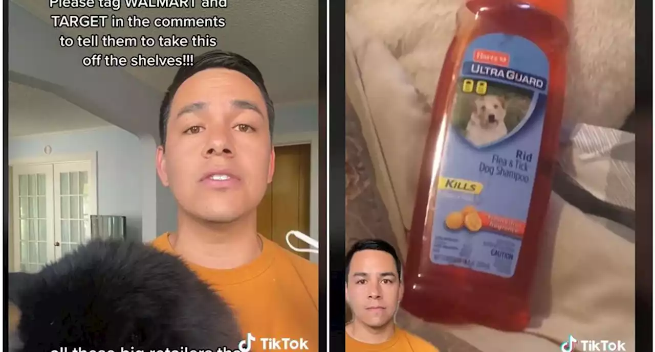 ¡Cuidado! Advierten en TikTok sobre shampoo que ocasiona insuficiencia renal a mascotas