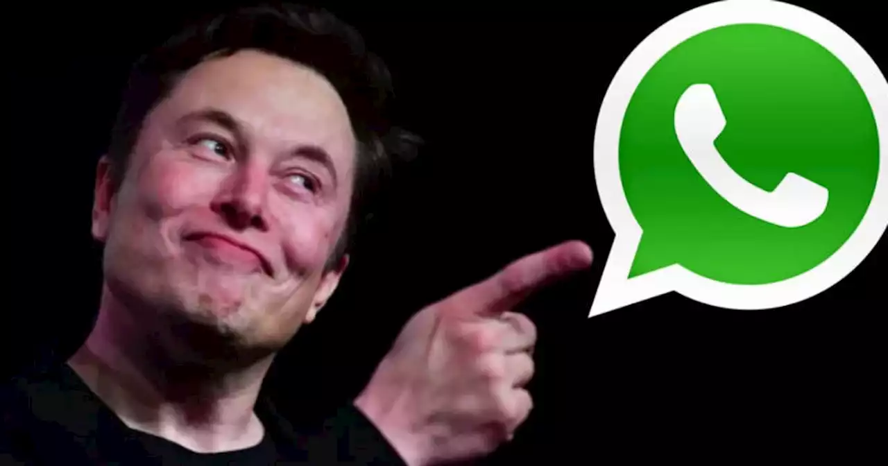 Elon Musk revela que Twitter se volverá WhatsApp: admitirá llamadas, mensajes encriptados y más