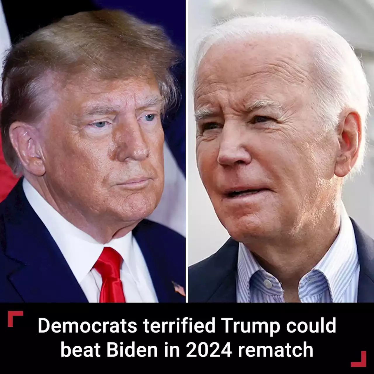 Democrats terrified Trump could beat Biden in 2024 rematch: 'Be very f---ing worried'