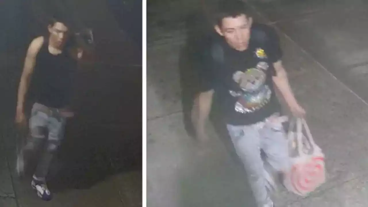 Man in teddy bear shirt stalked, raped woman in NYC: cops