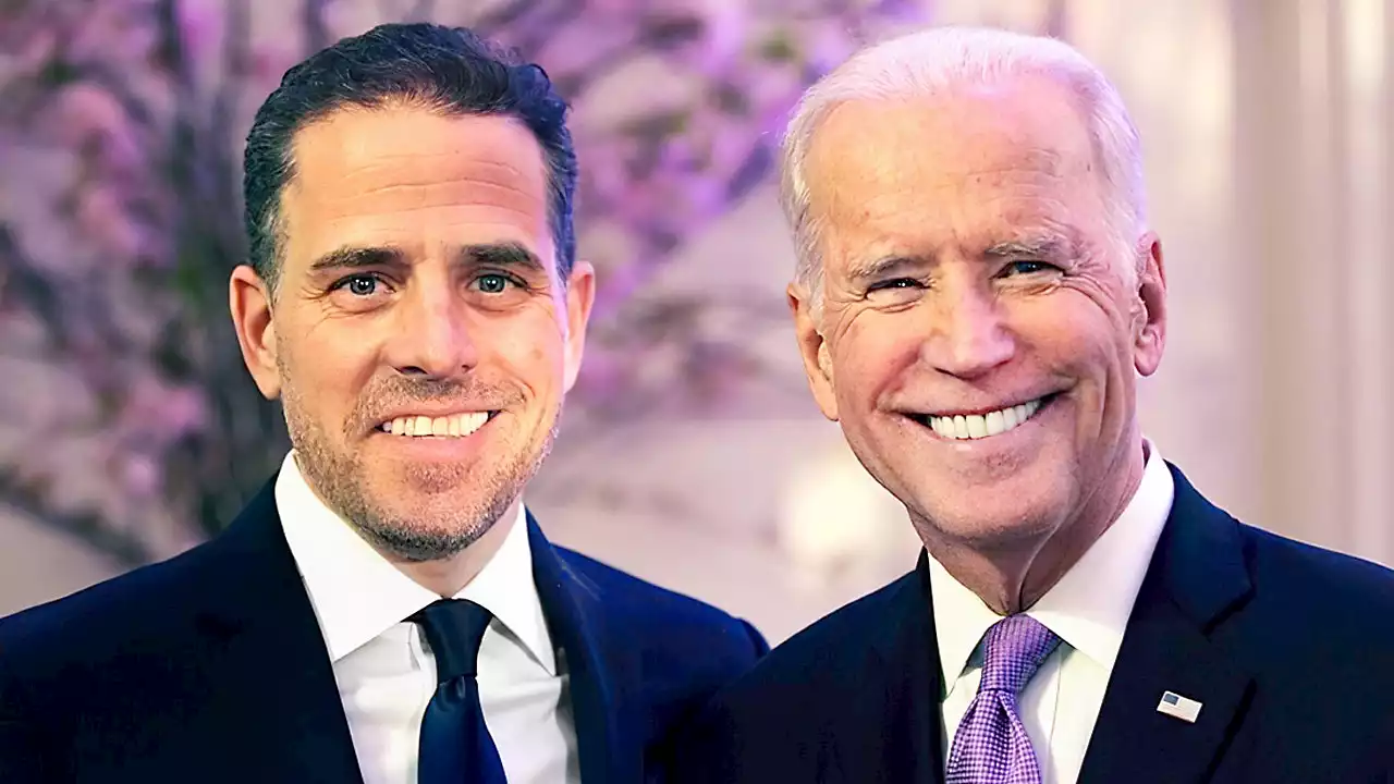 Whistleblower alleges feds sat on allegations of Biden family corruption in 2018