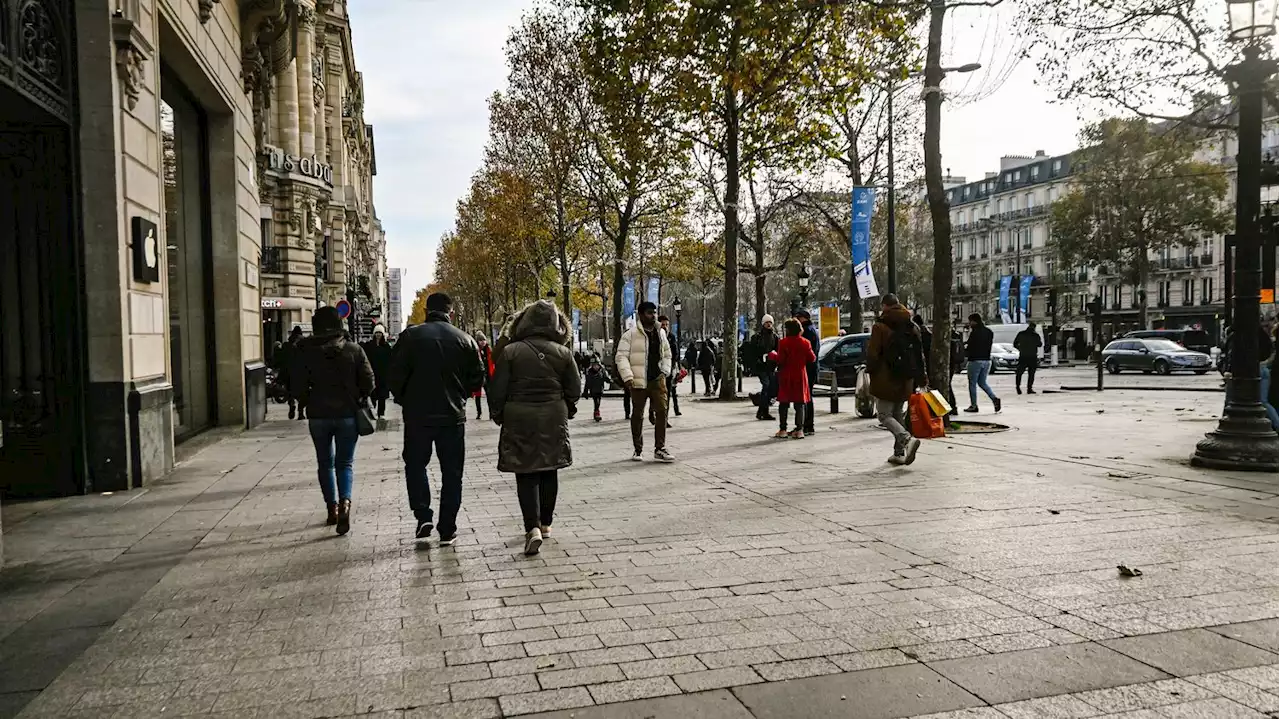 Les Champs-Elysées seront transformés en salle de classe pour une dictée géante début juin