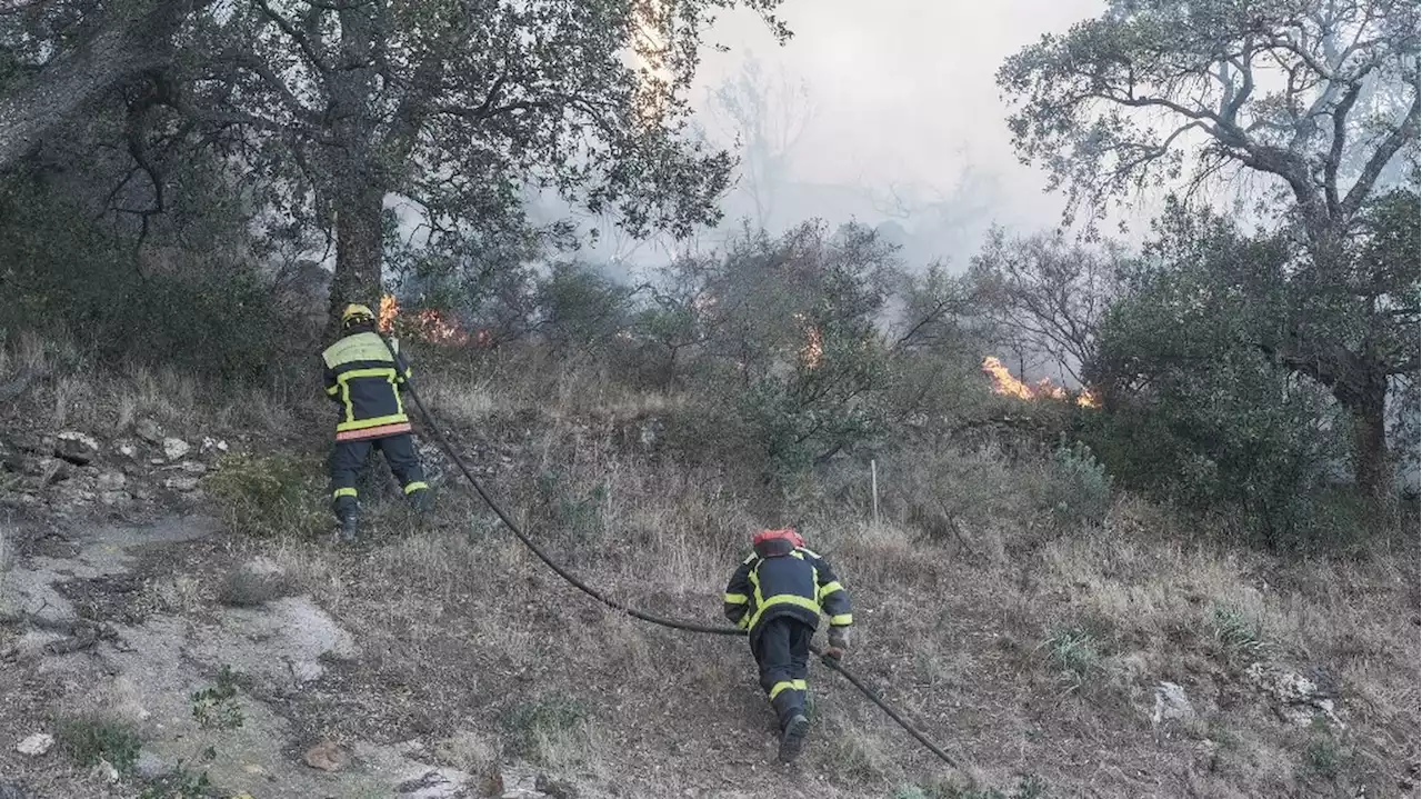 Pyrénées-Orientales : deux incendies en cours, plus de 130 vacanciers évacués