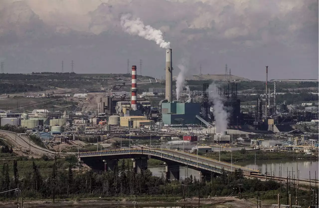 Suncor says person injured by bear north of Fort McMurray