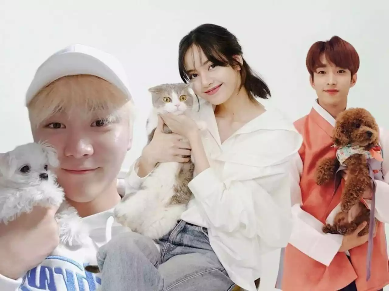 These K-pop artists have the most adorable furry friends