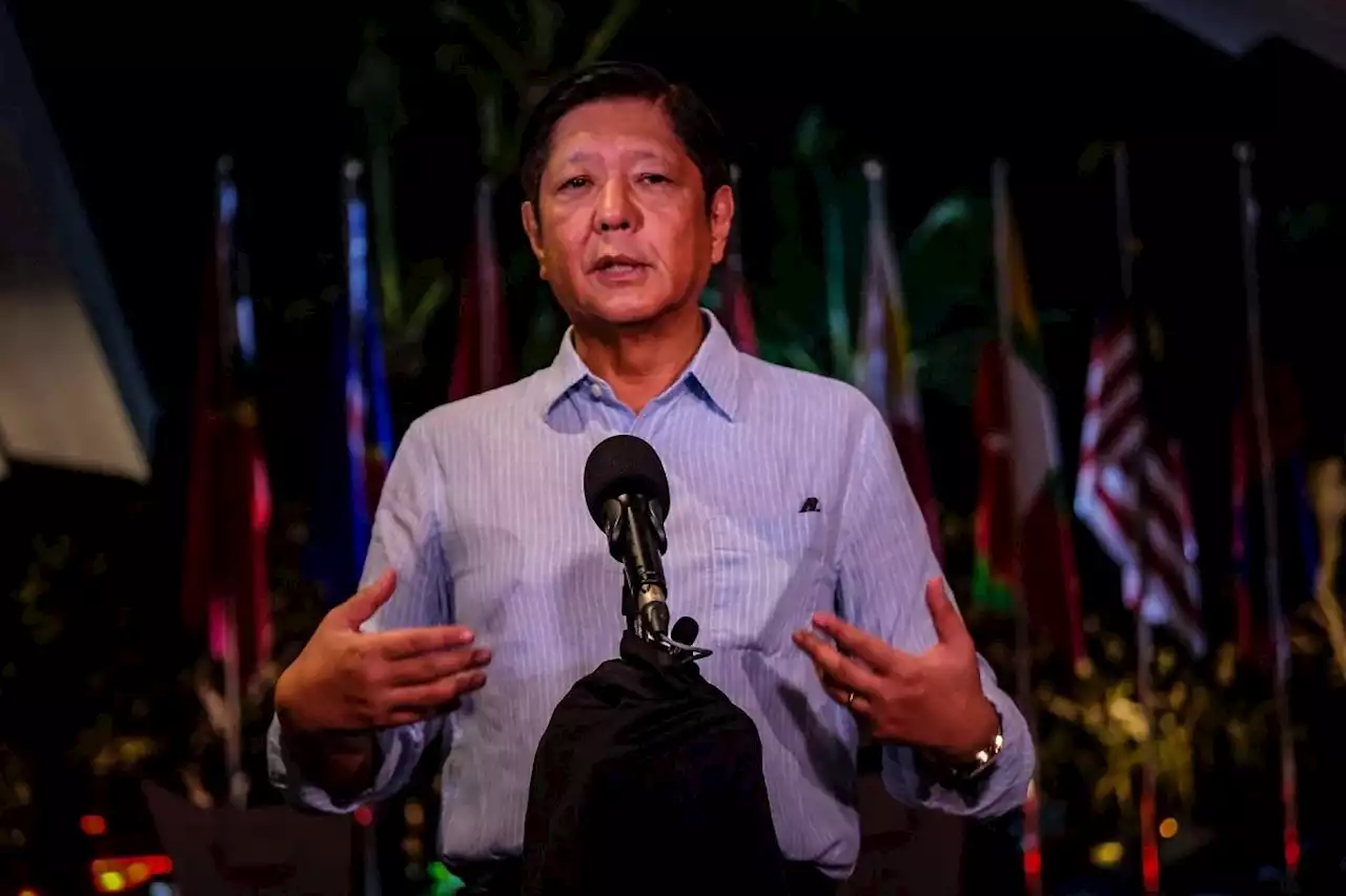 ASEAN should start talks on ageing population, says Marcos