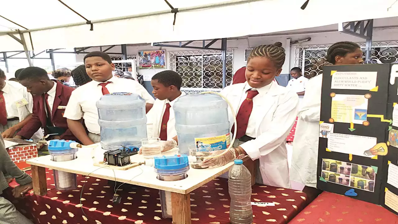 NGO urges girls to embrace STEM | The Guardian Nigeria News - Nigeria and World News