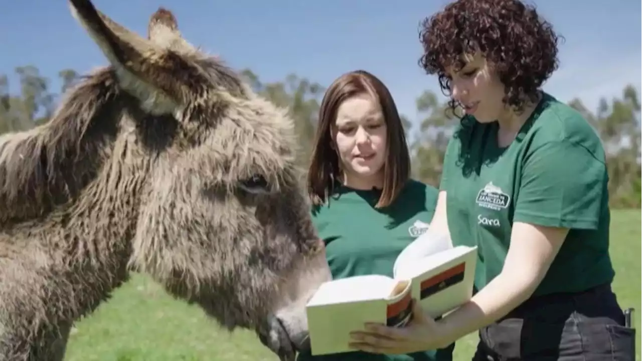 Junior y Valentina, los burros que piden respeto a la RAE