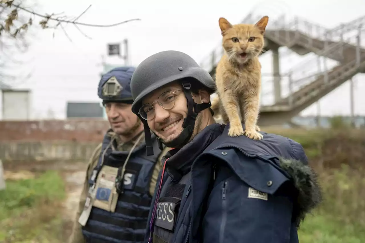 Guerre en Ukraine : Arman Soldin, la passion et le courage d’un journaliste