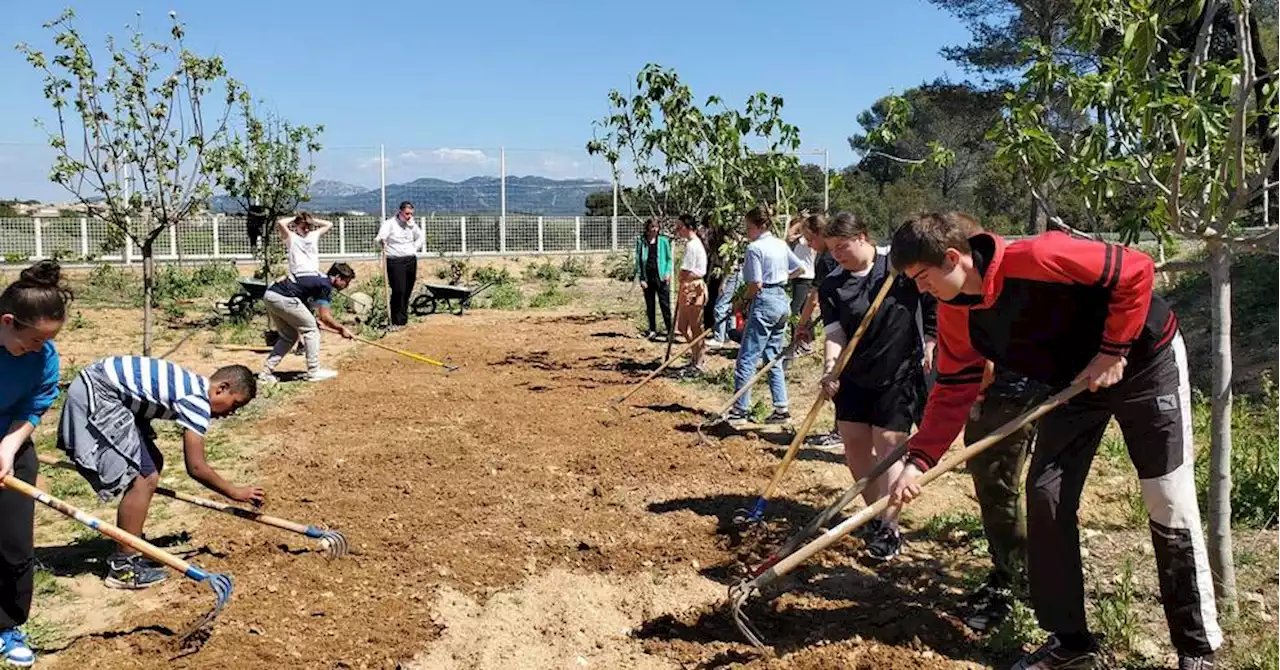 Les Pennes-Mirabeau : collégiens et lycéens reconvertis en jardiniers