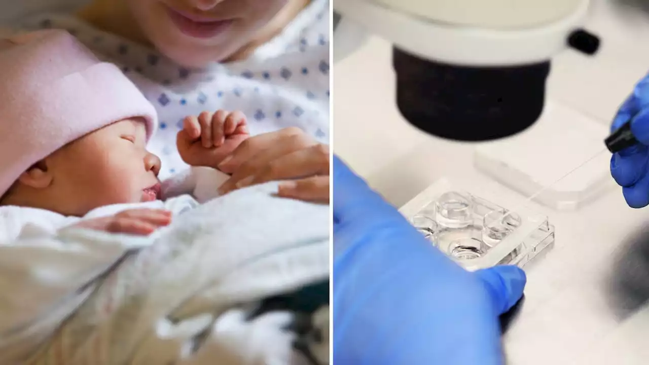 First 'three-parent-baby' born in the UK after IVF procedure developed to prevent children inheriting incurable diseases