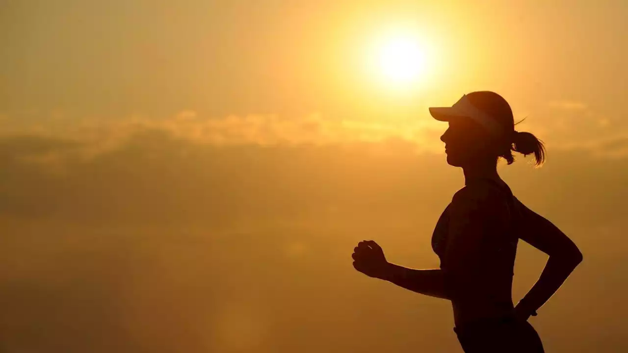 Jelang Lari Maraton dengan Total Jarak Tempuh 300 Km di Sumba, Enam Pelari Ungkap Persiapannya