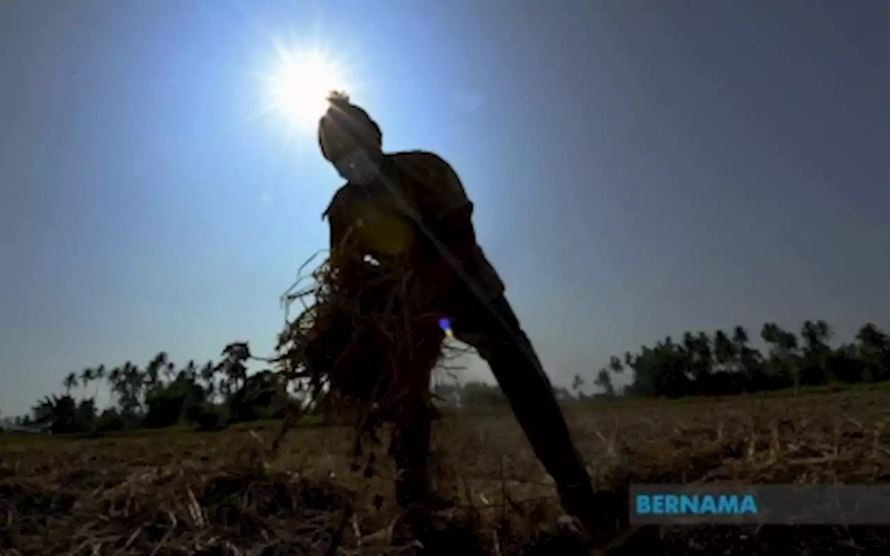 MetMalaysia: Baling, Hulu Perak, Kinta, Manjung and Mukah record alert-level hot weather