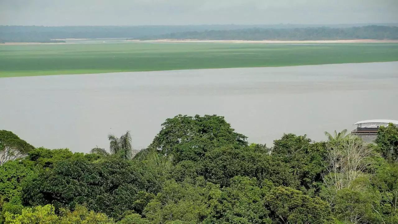 FOTOS: El Banco Mundial propone un nuevo modelo de desarrollo para la Amazonia brasileña | Minuto30