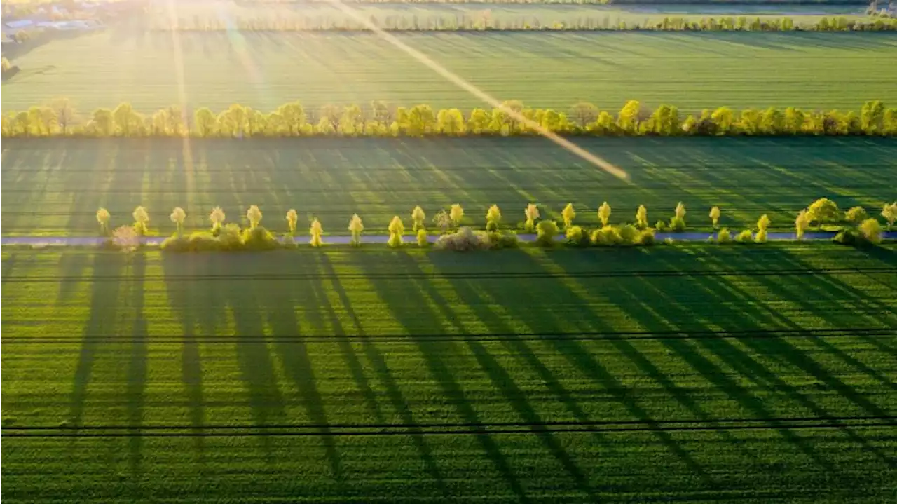 Milder Mittwoch mit viel Sonnenschein erwartet