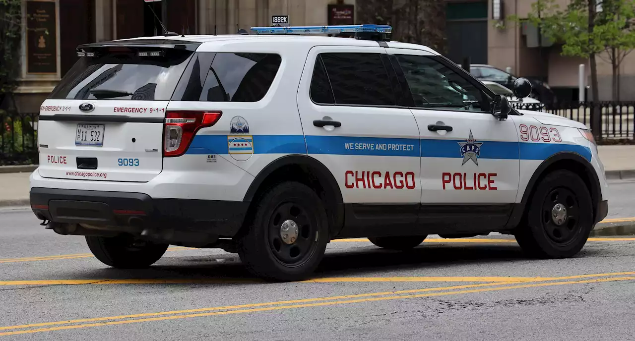 Bat-Wielding Suspect Assaults 5 Women in Separate Attacks on Chicago's NW Side