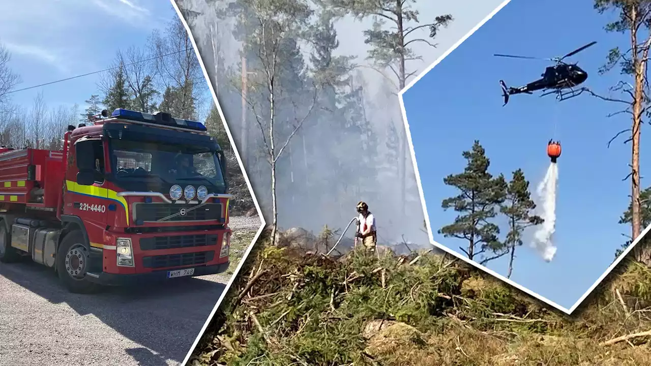 TV. Stor skogsbrand härjar utanför Hallstavik