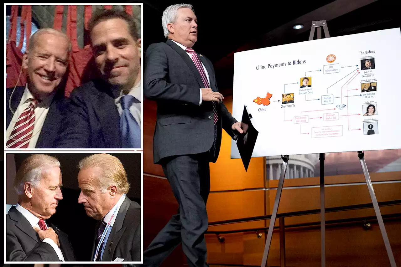 How the Biden family used shell companies to enrich themselves