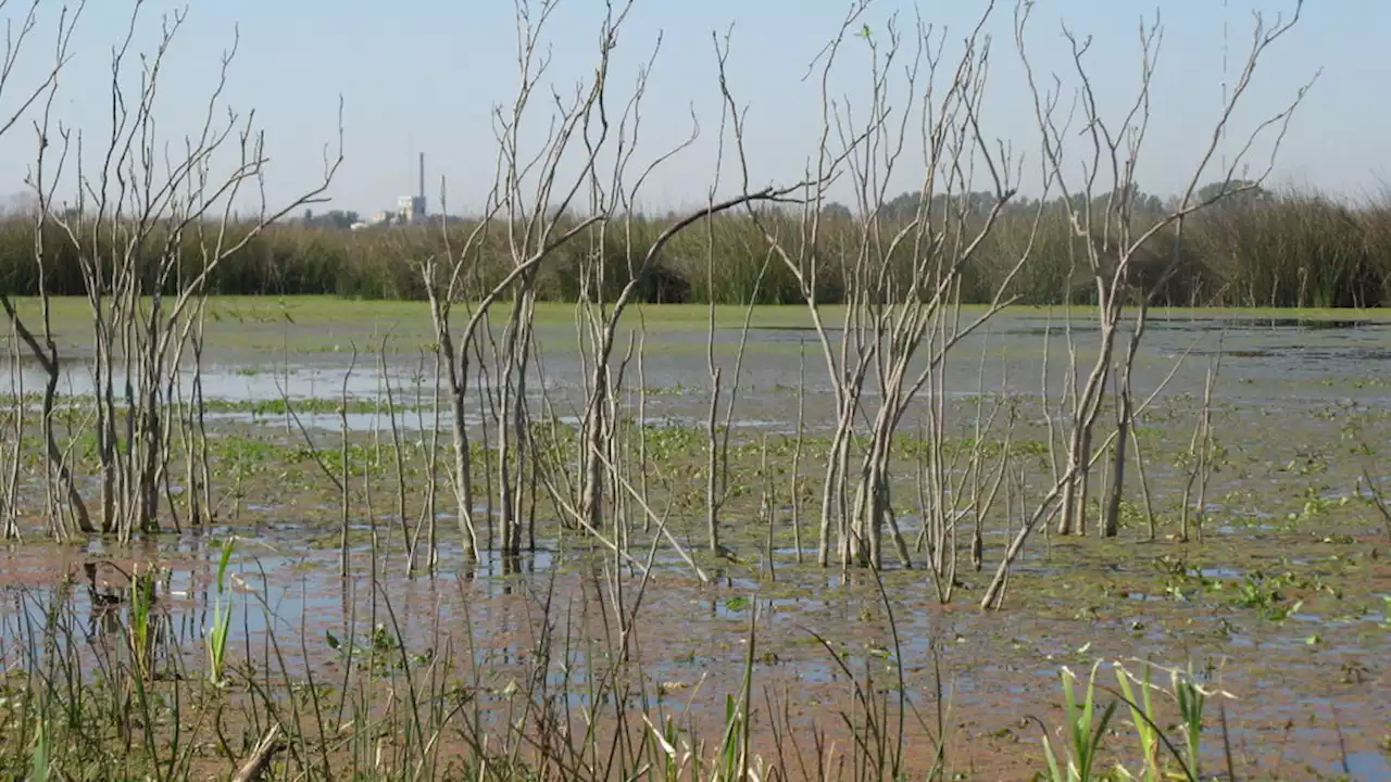 Terrenos en disputa | Repudio a la venta de la Reserva Natural Santa Catalina