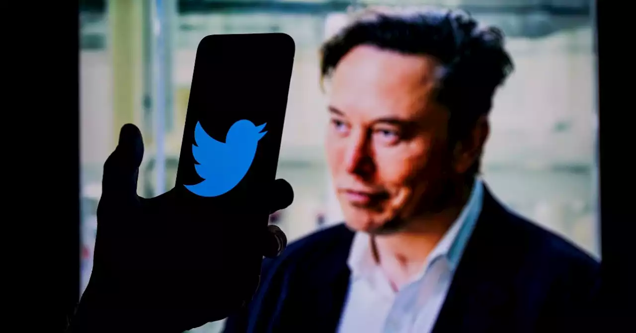 Elon Musk says inactive Twitter accounts being purged