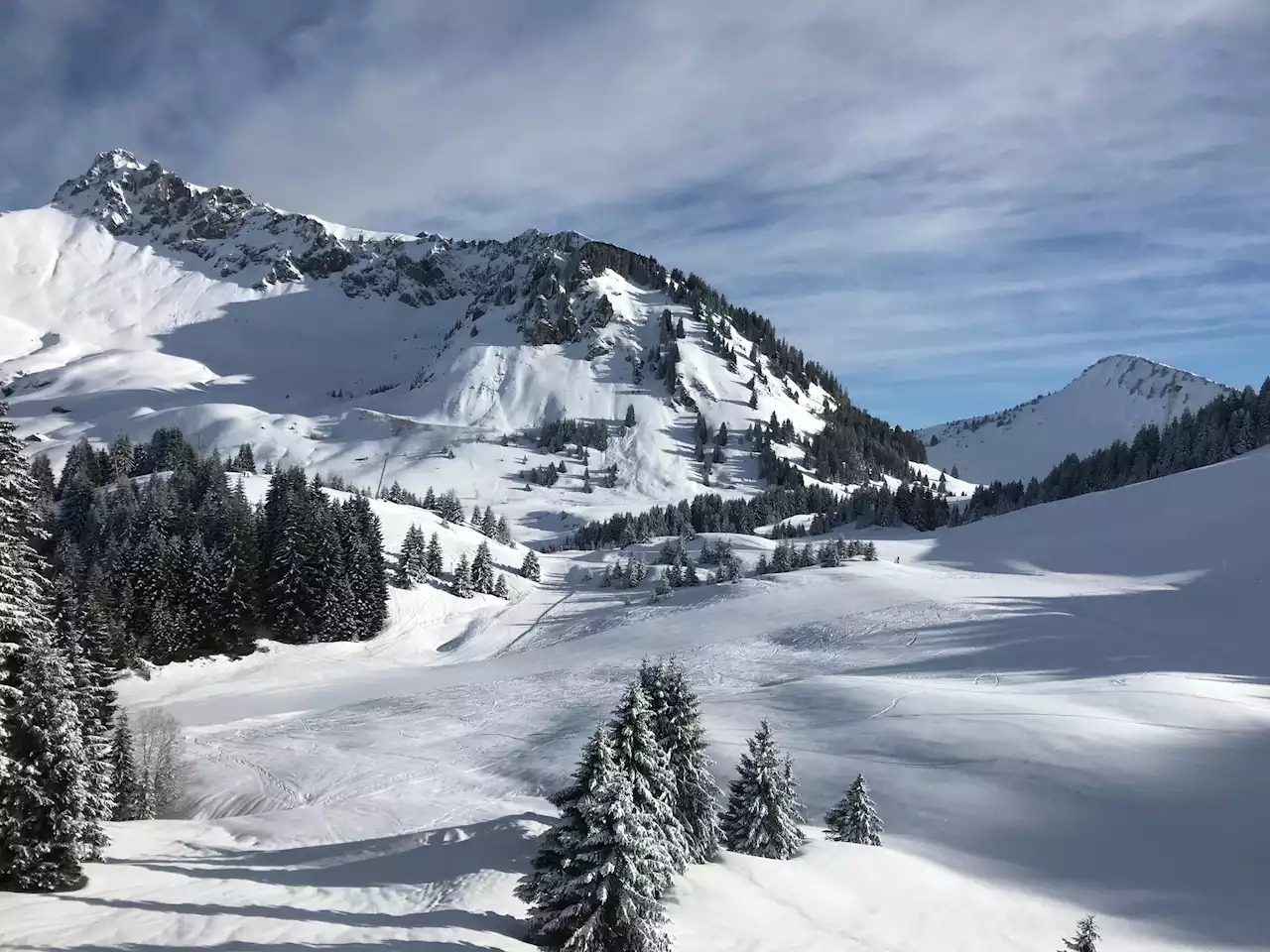 Scientists discover microbes in the Alps and Arctic that can digest plastic at low temperatures