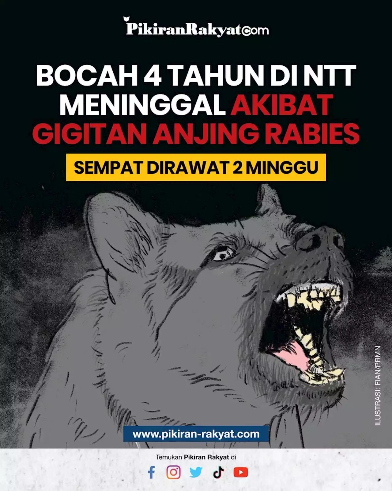 Pilu, Bocah 4 Tahun di NTT Meninggal Akibat Gigitan Anjing Rabies setelah Sempat Dirawat 2 Minggu