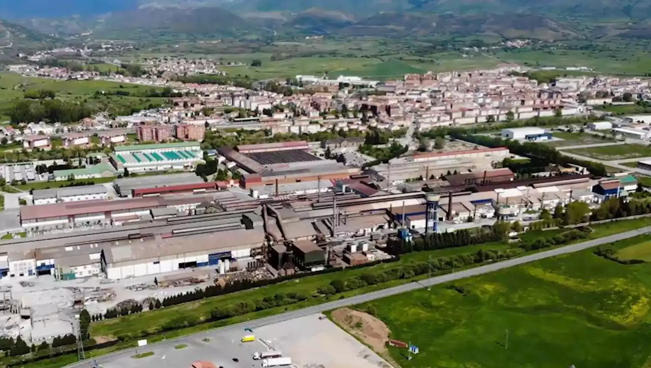 Los trabajadores de Sidenor reclaman en el Congreso que Campoo sea Zona de Especial Interés Industrial