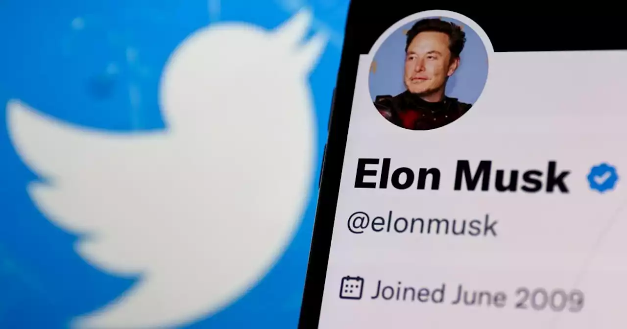 Twitter, Elon Musk annuncia l'arrivo di chiamate audio e video