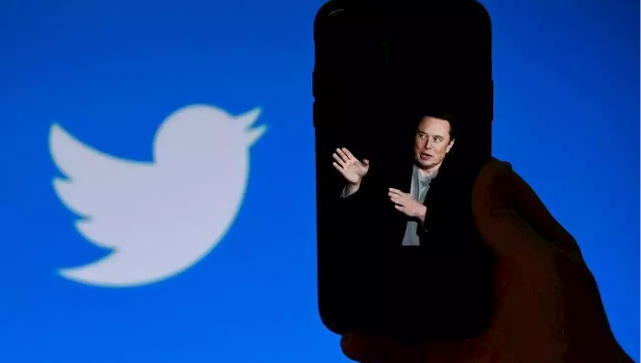 Twitter: Musk annuncia l'arrivo di chiamate audio e video