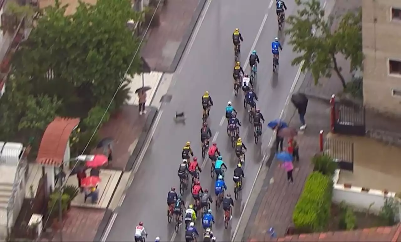 Remco Evenepoel crashes after loose dog runs into Giro d'Italia peloton