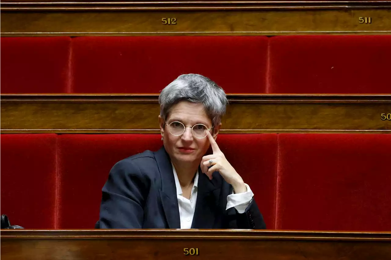 Sandrine Rousseau : 'Être tenace, c'est avoir quelque chose de chevillé au corps'