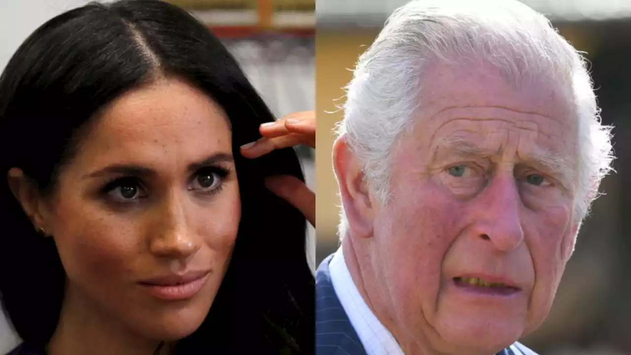 There is a &#8216;mixed race&#8217; Royal but Meghan &#8216;chose not to do her job&#8217;: Nigel Farage