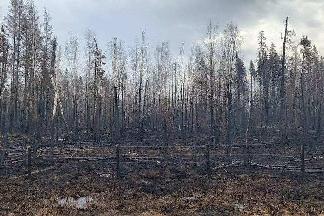 Cooler temperatures offer temporary reprieve for Alberta wildfires